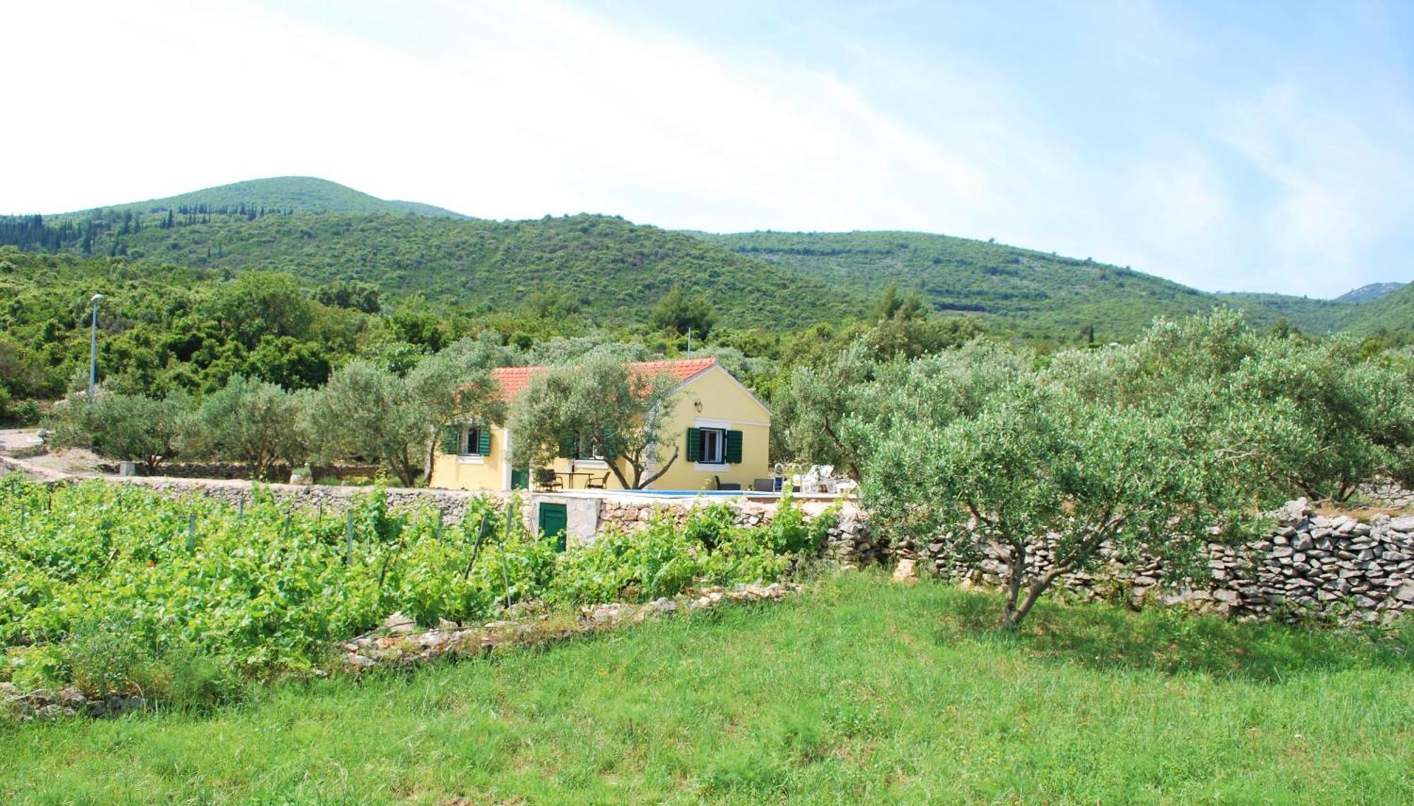 Vineyard House & Olive Grove House Villa Racisce Exterior photo