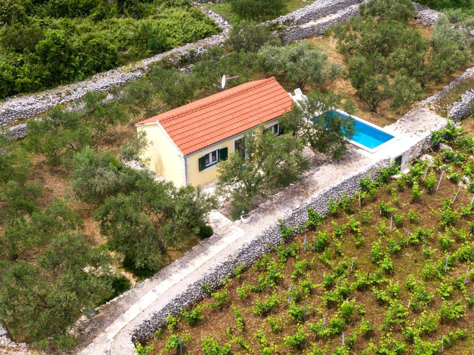 Vineyard House & Olive Grove House Villa Racisce Exterior photo