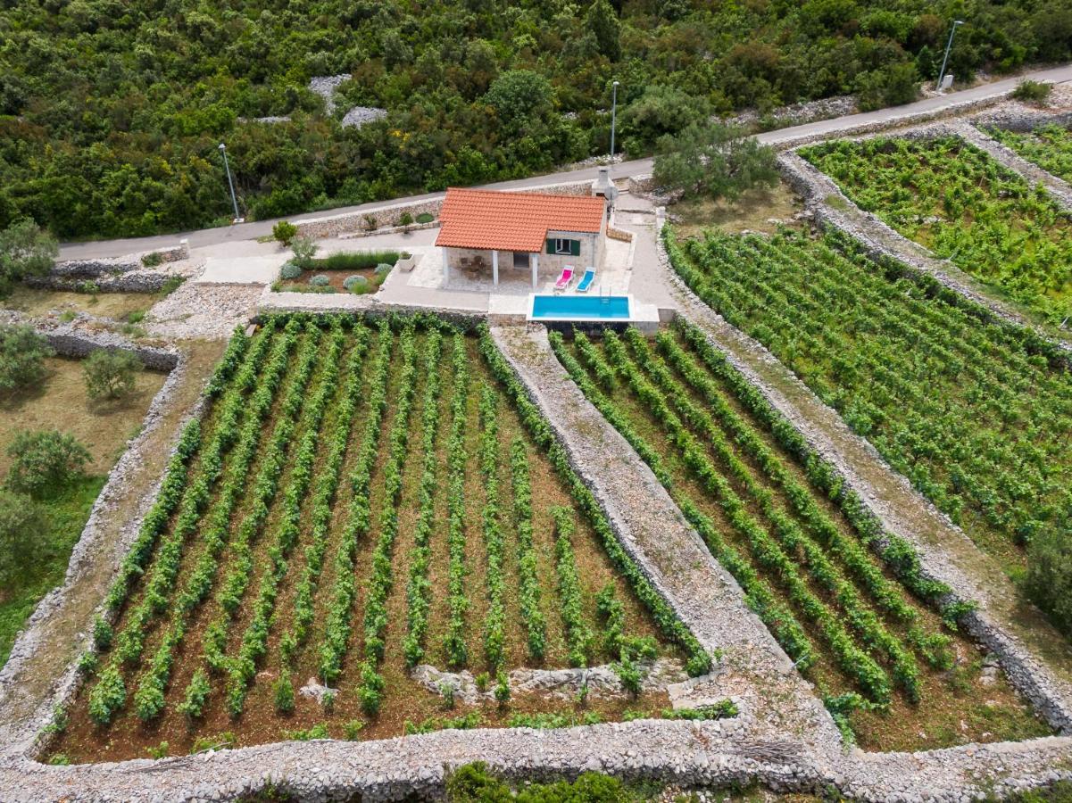 Vineyard House & Olive Grove House Villa Racisce Exterior photo